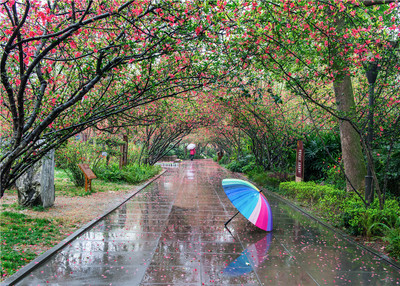 我眼中的春天(活动)-摄影公社小组-好知网