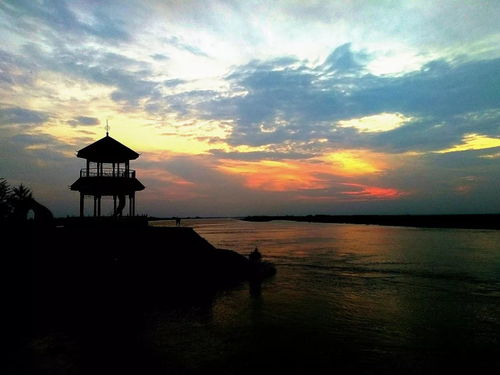 手机摄影作品欣赏 462