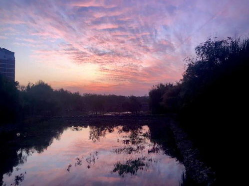 我们的南湖 摄影大赛 三