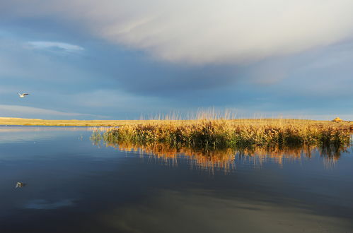 美丽记忆 精彩瞬间 摄影作品欣赏