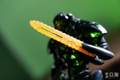 胶佬好搭档 洋葱工厂布朗尼摄影灯套装