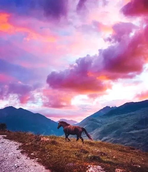 摄影学习快速上道,离不开一个正确的导师